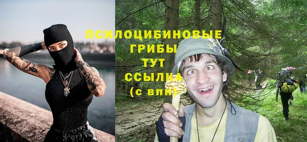 jwh Медногорск