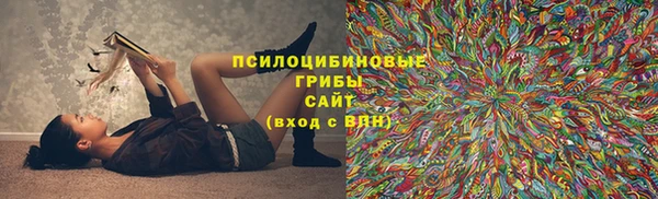 скорость Медвежьегорск