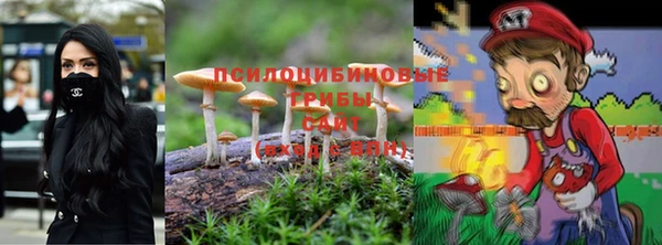скорость Медвежьегорск