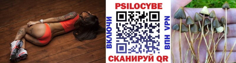 Галлюциногенные грибы мухоморы  мега tor  это клад  Петропавловск-Камчатский 