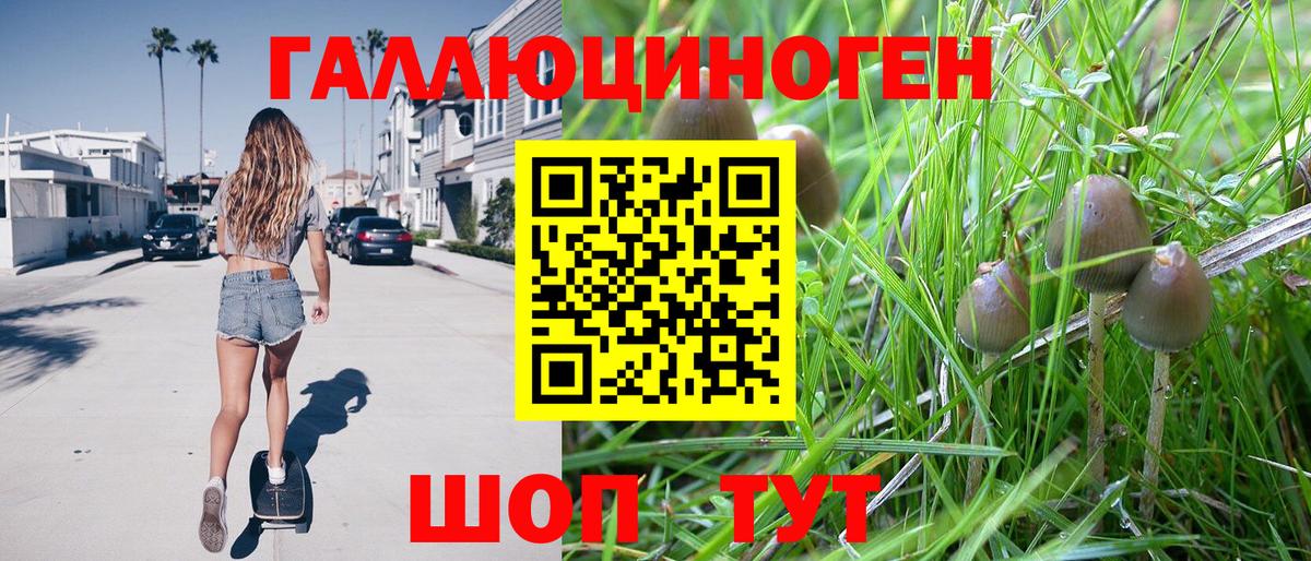 Галлюциногенные грибы GOLDEN TEACHER  Вход с VPN  Петропавловск-Камчатский 