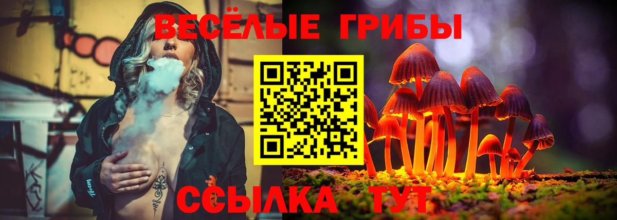 Галлюциногенные грибы Cubensis Петропавловск-Камчатский